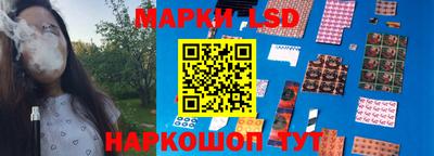 гидропоника Дубна